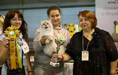 �������� ����� 20-21 �������� 2014 WCF-�����  2-91-169A1426 copy.jpg